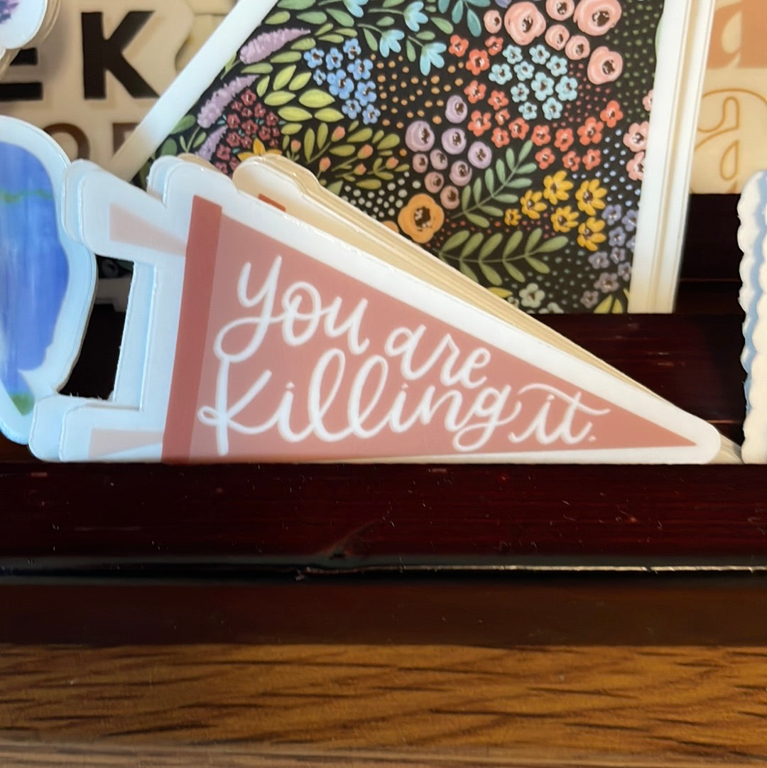 You are Killing it sticker