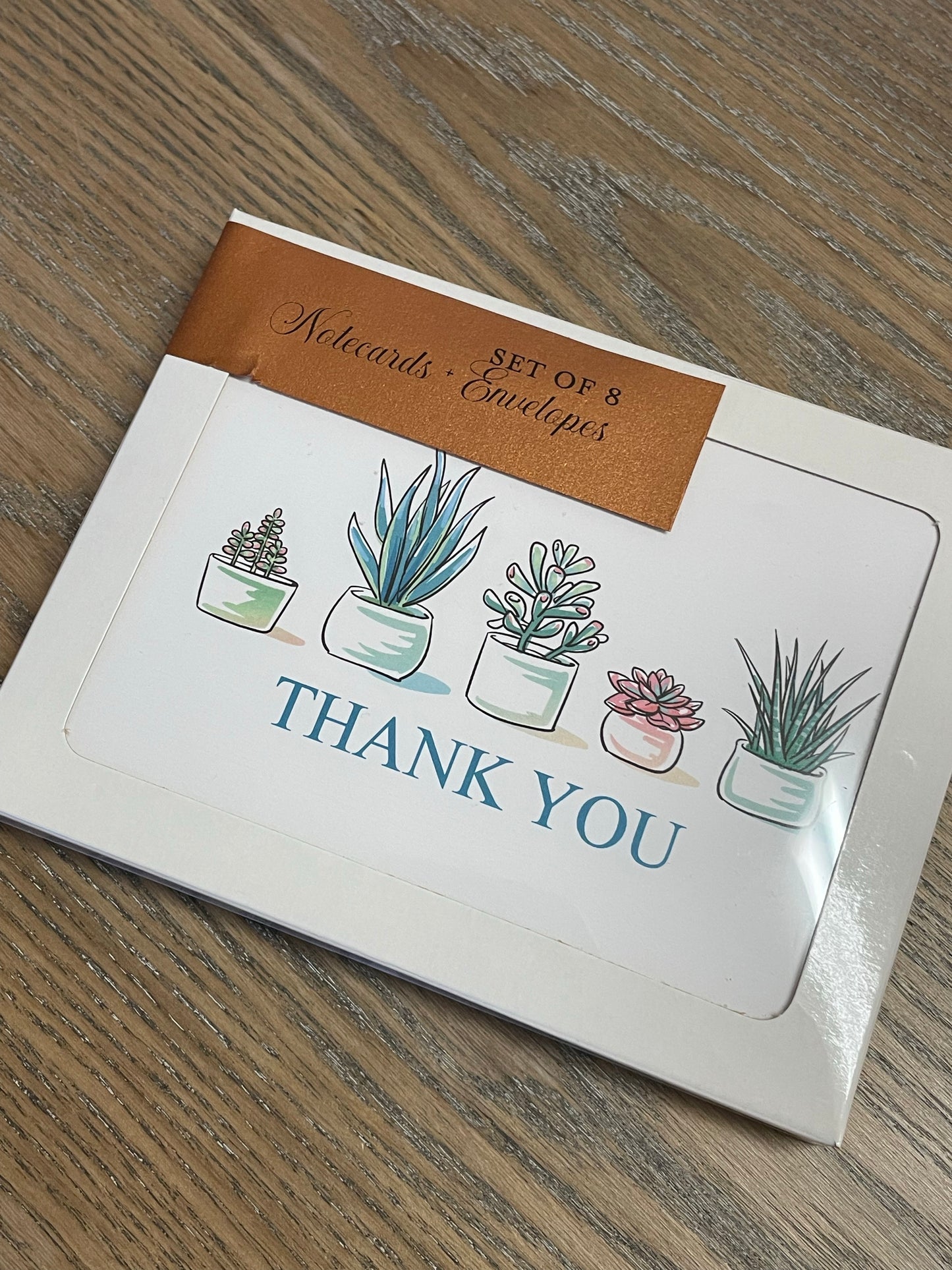 Succulent Pots Notecards