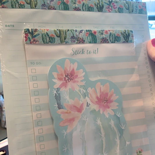 Set of 3 cactus notepads