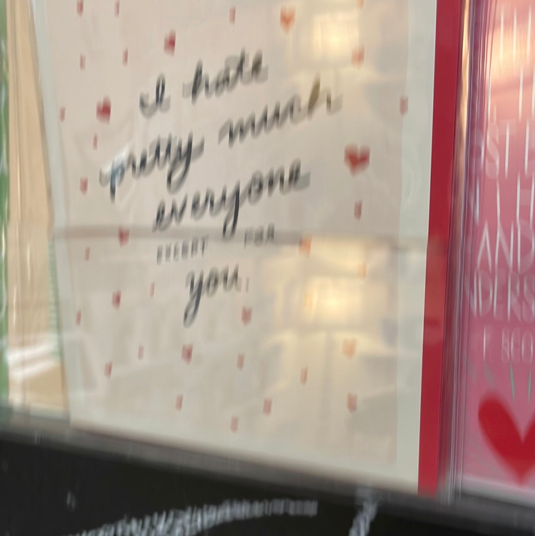 Hate everyone but Love You card