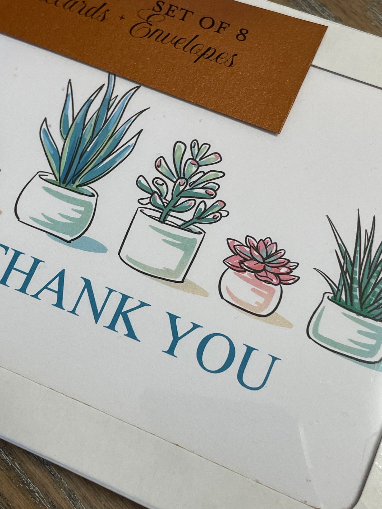 Succulent Pots Notecards