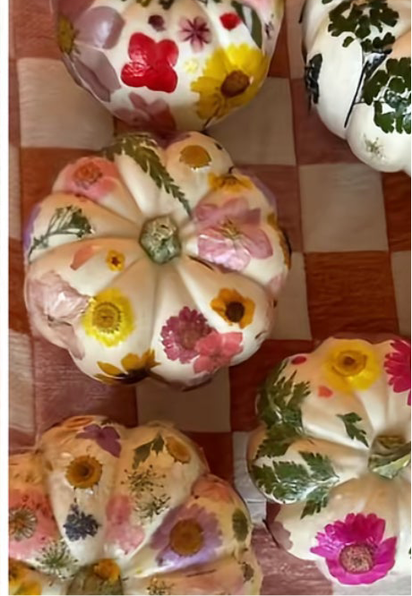 October 5th - Pressed Flower Pumpkin Event