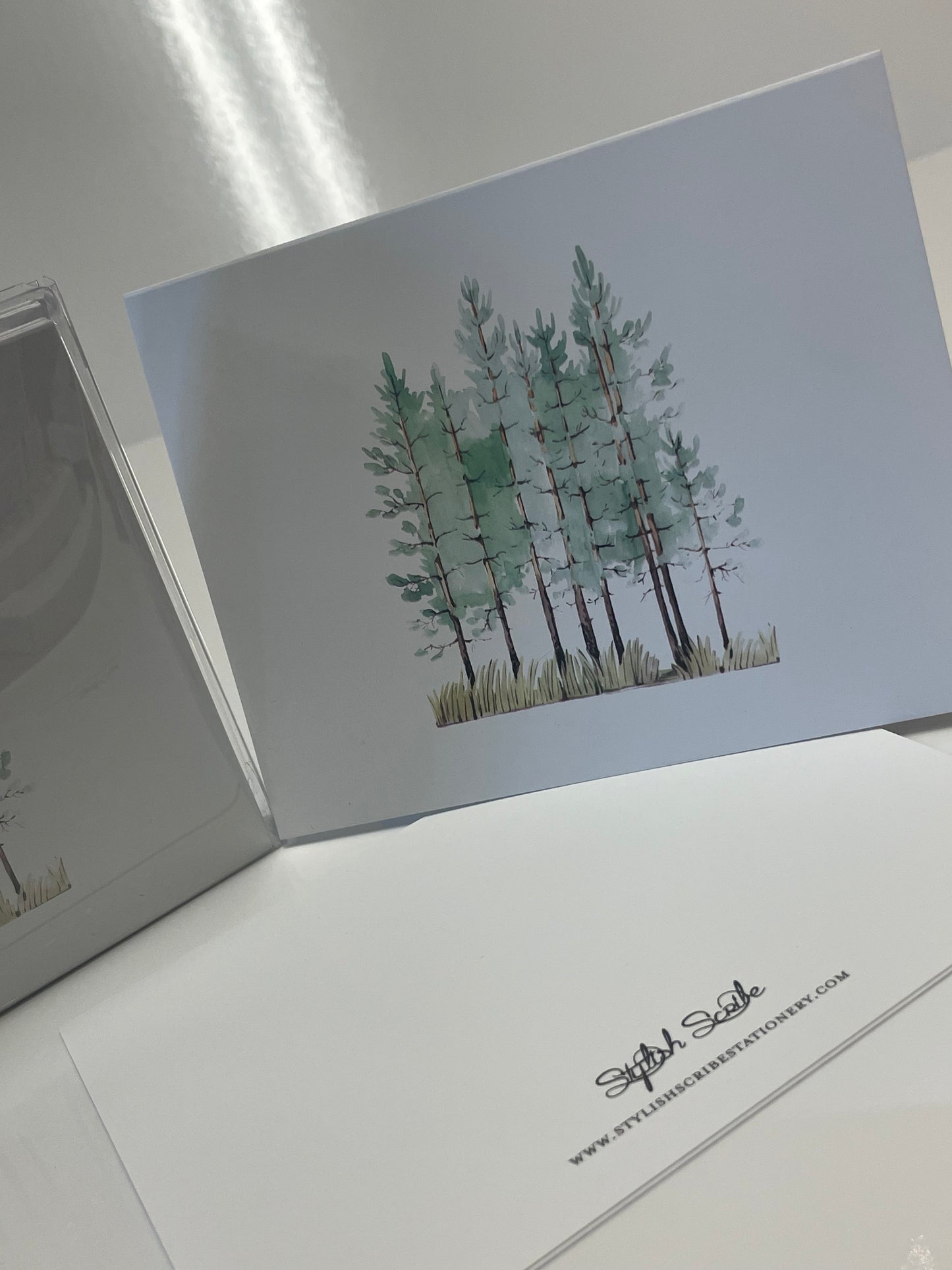 Watercolor Pine Tree Notecards