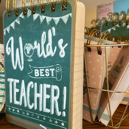 Mini Worlds best teacher pad