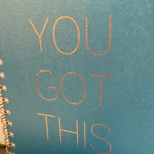 You got this notebook