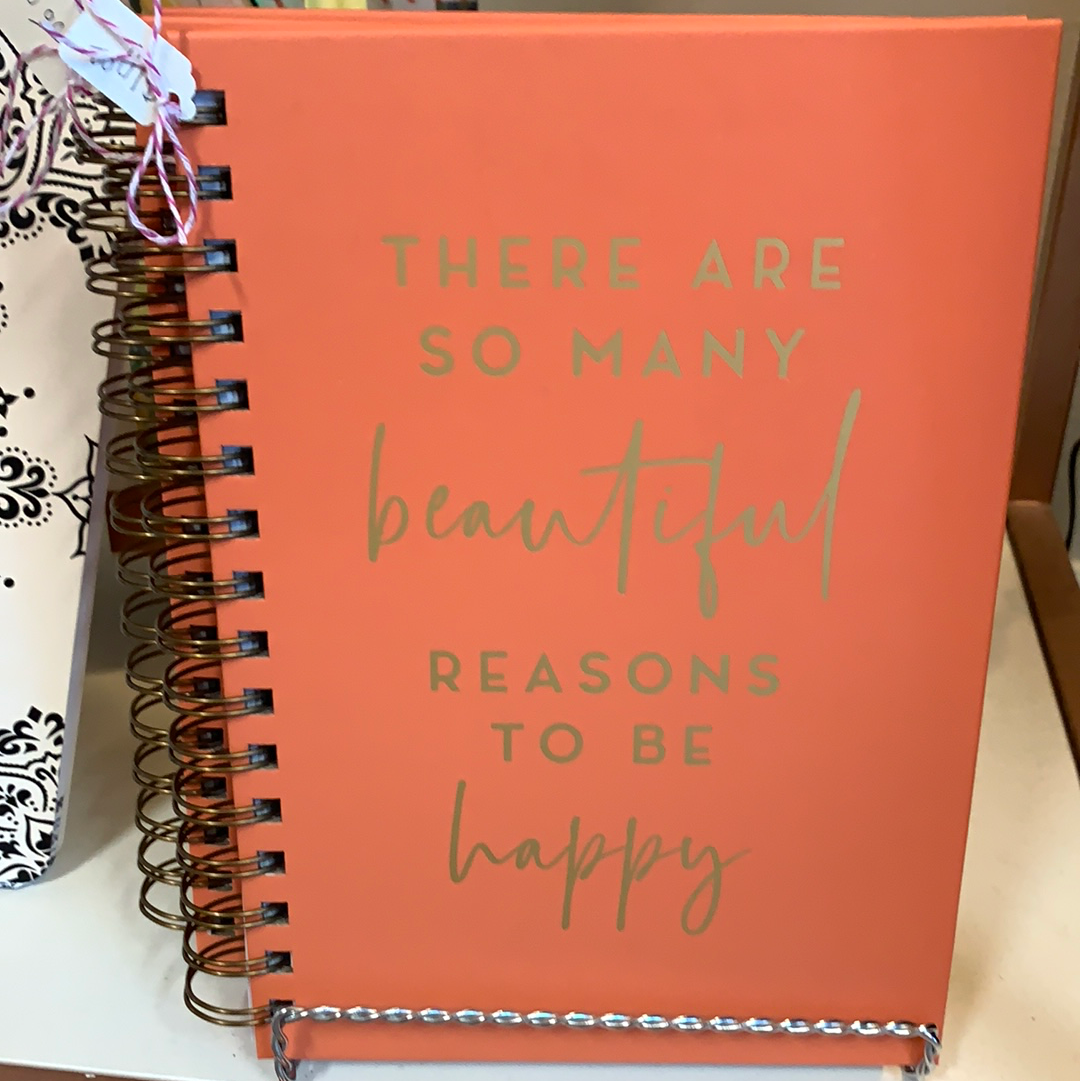 So many beautiful reasons notebook