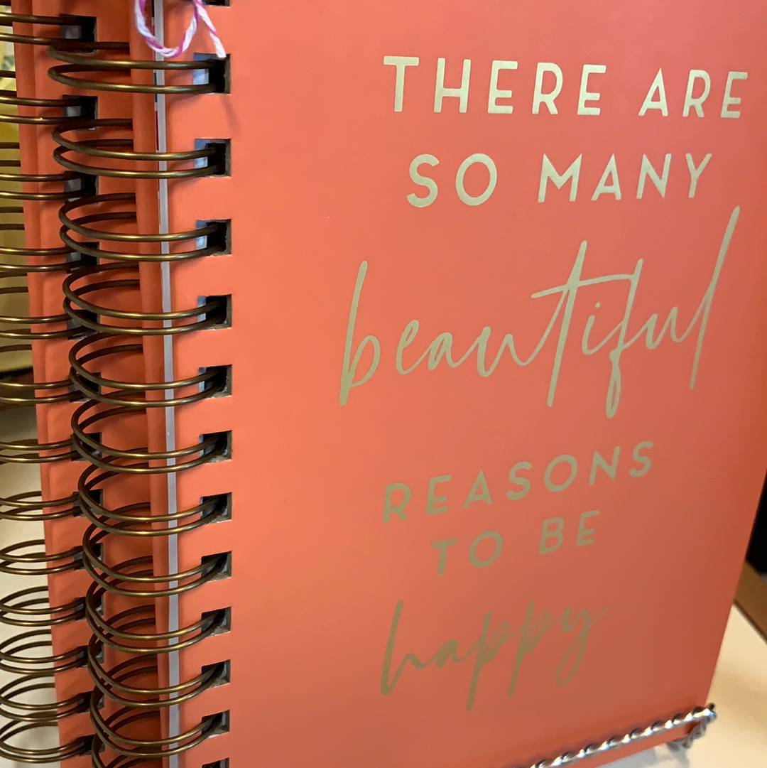 So many beautiful reasons notebook